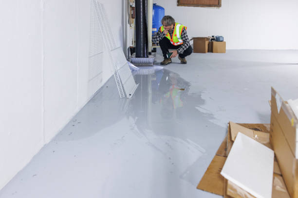 Basement Waterproofing